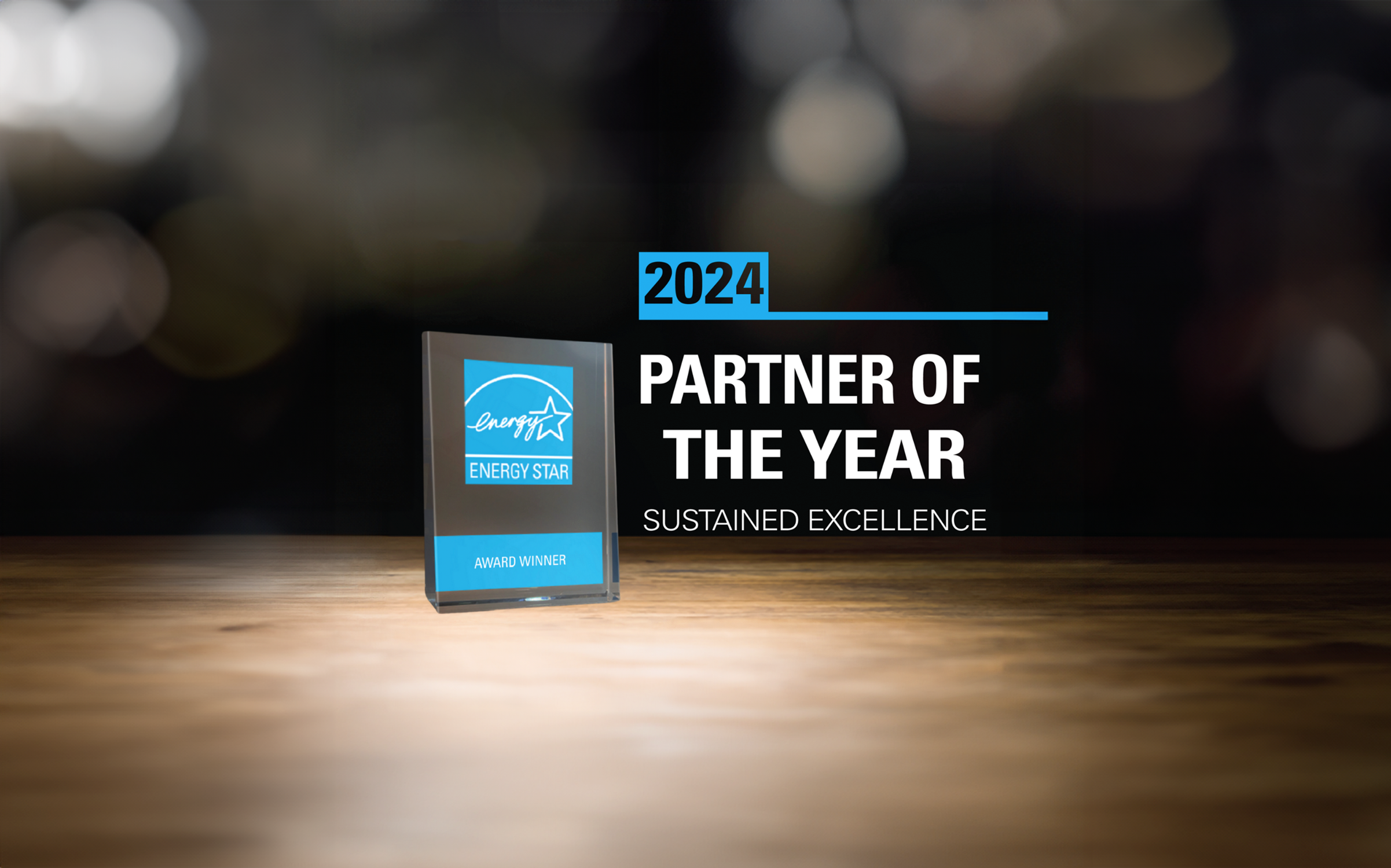 Partner of the Year Energy Star Award 2024